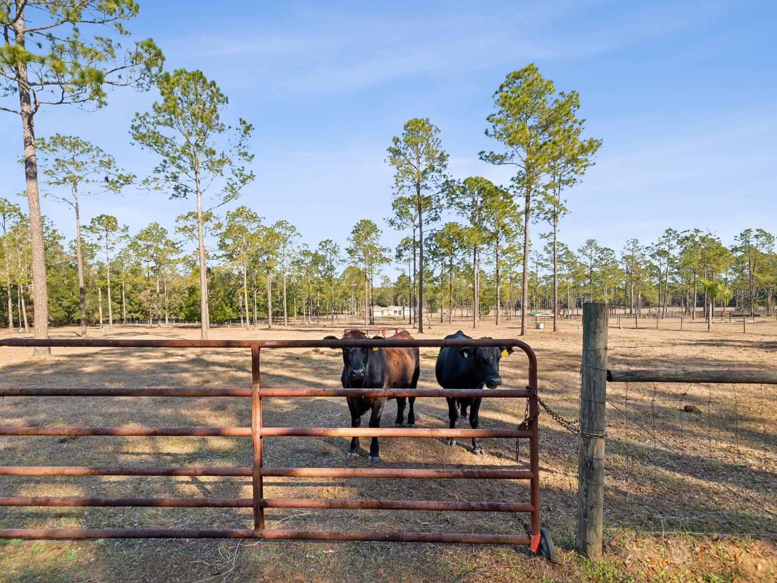 18134 POWERLINE RD, DADE CITY, FL, 33523
