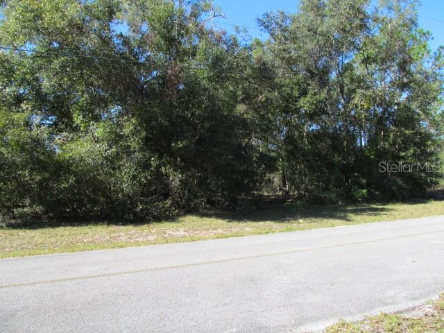 00 SE 169TH CT, OCKLAWAHA, FL, 32179