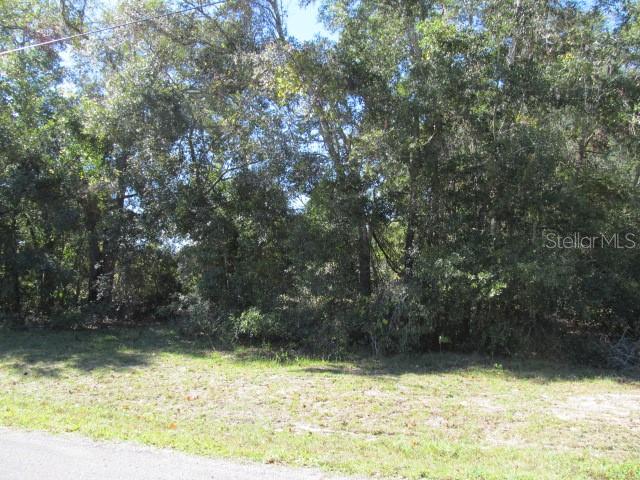 00 SE 169TH CT, OCKLAWAHA, FL, 32179
