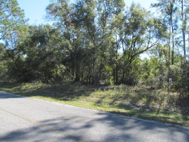 00 SE 169TH CT, OCKLAWAHA, FL, 32179