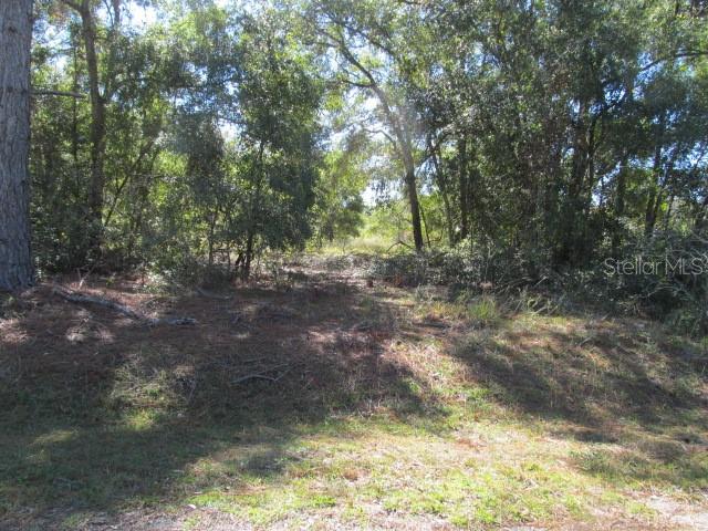 00 SE 169TH CT, OCKLAWAHA, FL, 32179