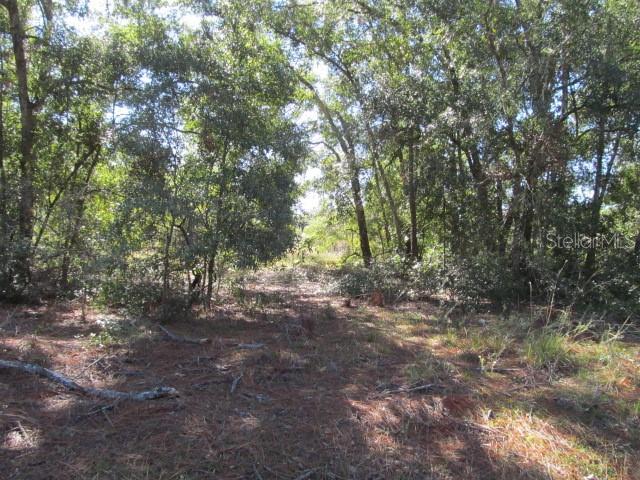 00 SE 169TH CT, OCKLAWAHA, FL, 32179