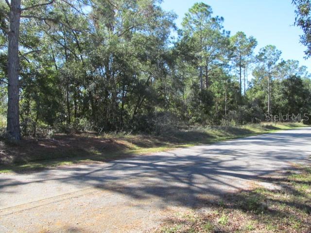 00 SE 169TH CT, OCKLAWAHA, FL, 32179