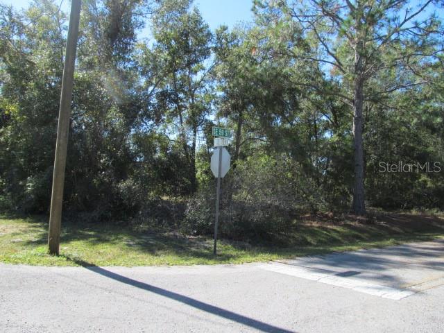 00 SE 169TH CT, OCKLAWAHA, FL, 32179