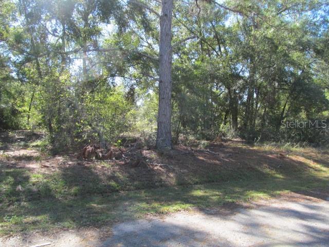 00 SE 169TH CT, OCKLAWAHA, FL, 32179