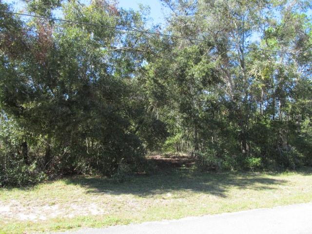 00 SE 169TH CT, OCKLAWAHA, FL, 32179