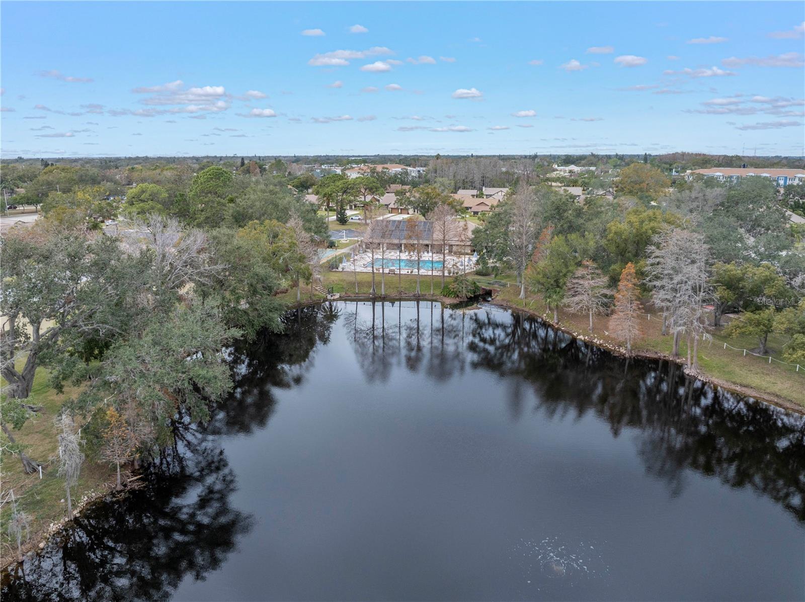 2489 OAKLEAF LN #21C, CLEARWATER, FL, 33763