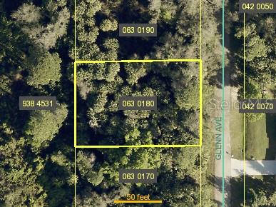 713 GLENN AVE, LEHIGH ACRES, FL, 33972