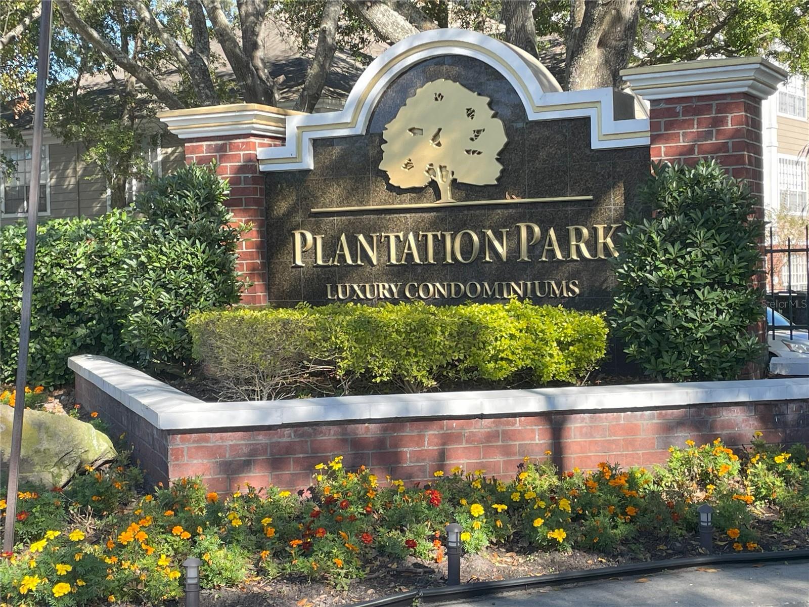 13036 MULBERRY PARK DR #414, ORLANDO, FL, 32821