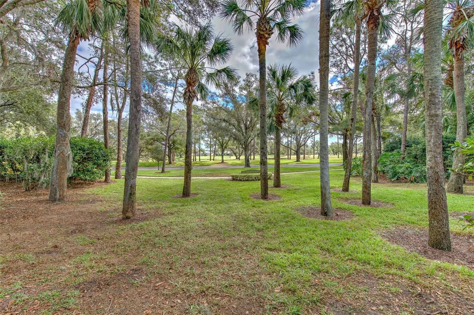 3922 CEDAR CAY CIR, VALRICO, FL, 33596