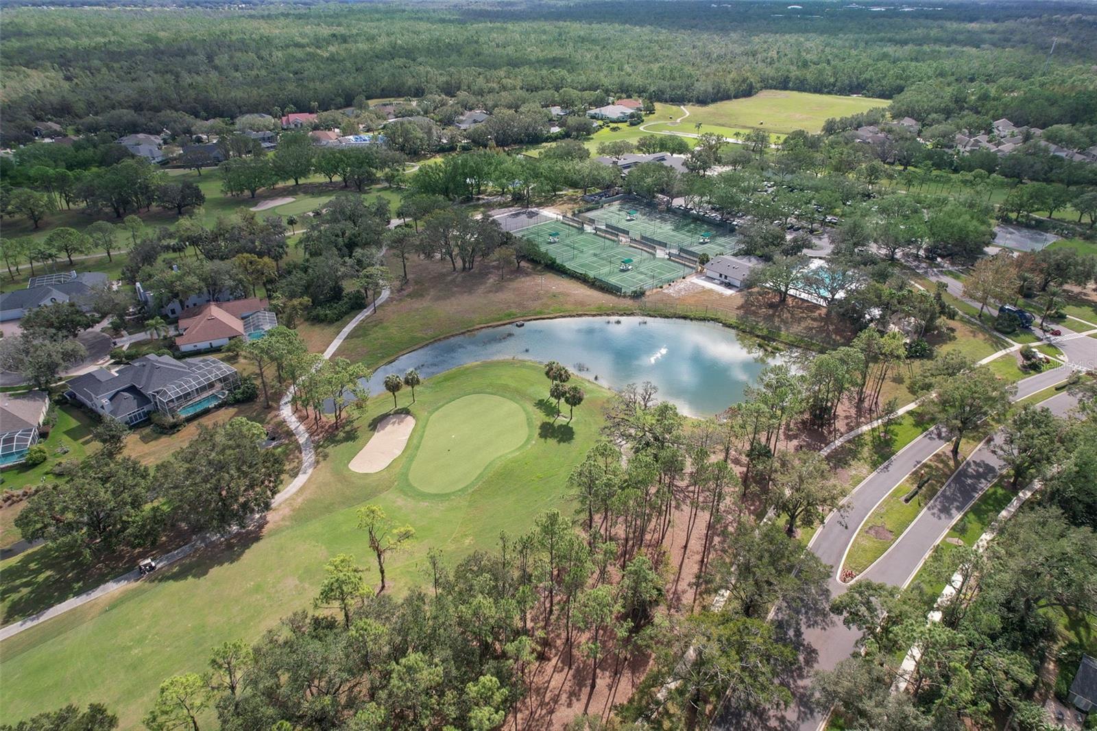 3922 CEDAR CAY CIR, VALRICO, FL, 33596
