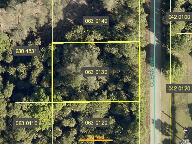 703 GLENN AVE, LEHIGH ACRES, FL, 33972