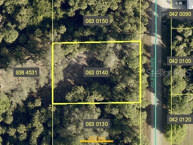 705 GLENN AVE, LEHIGH ACRES, FL, 33972
