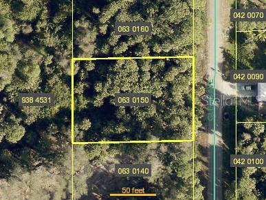 707 GLENN AVE, LEHIGH ACRES, FL, 33972
