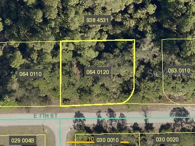1699/1701 E 7TH ST, LEHIGH ACRES, FL, 33972