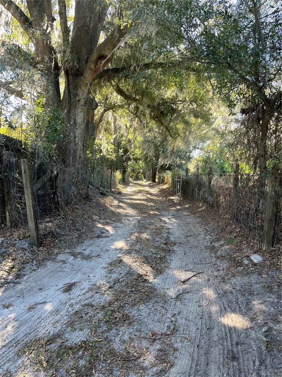 3065 SE 103RD LN, OCALA, FL, 34480