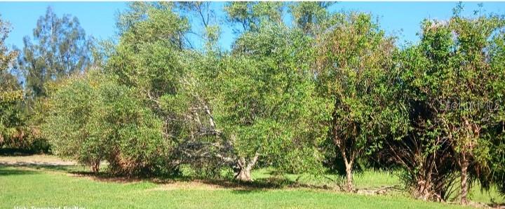 6434 GARVEY DR, NEW PORT RICHEY, FL, 34652