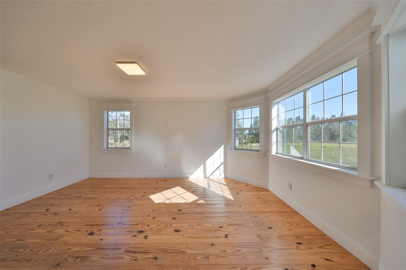 19212 GRANGE HALL LOOP, WIMAUMA, FL, 33598