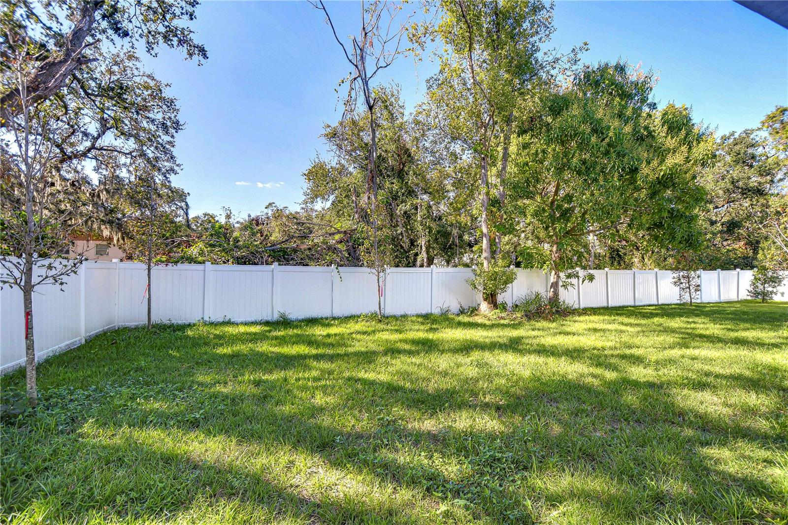 515 ELM ST, SAFETY HARBOR, FL, 34695