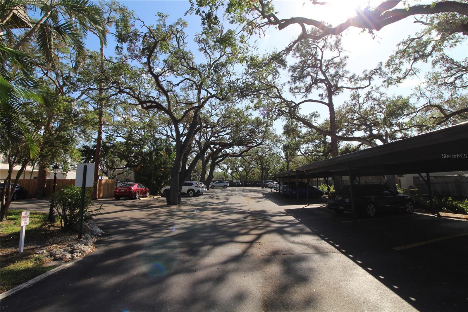 3700 S OSPREY AVE #302, SARASOTA, FL, 34239