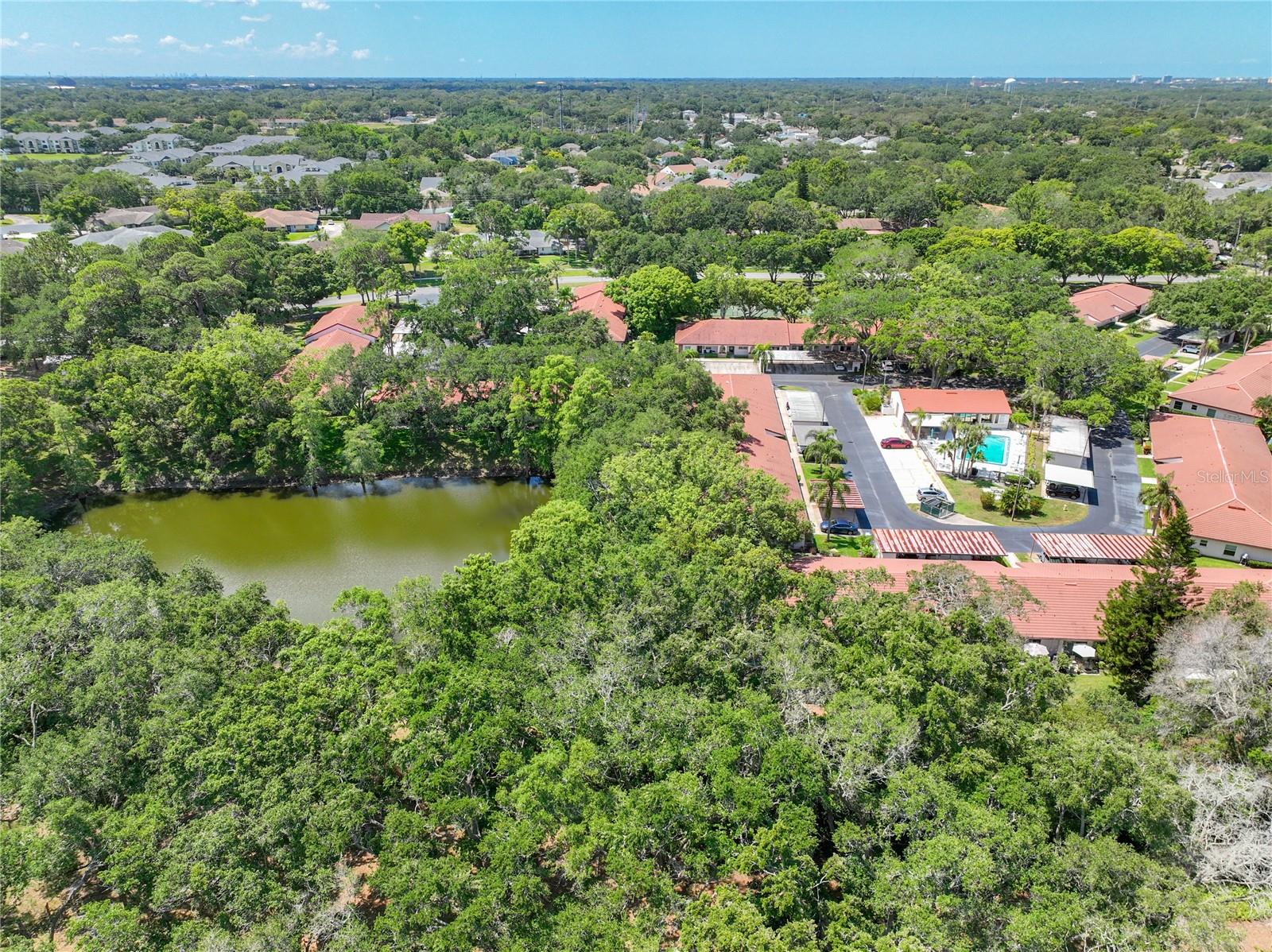 491 EXMOOR TER #1695, DUNEDIN, FL, 34698