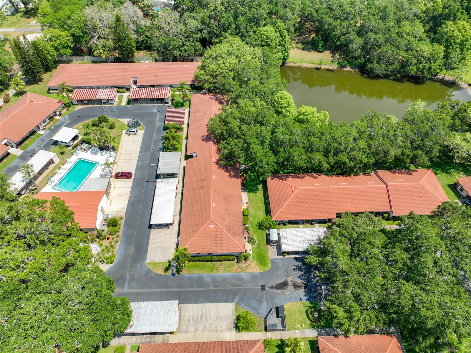 491 EXMOOR TER #1695, DUNEDIN, FL, 34698