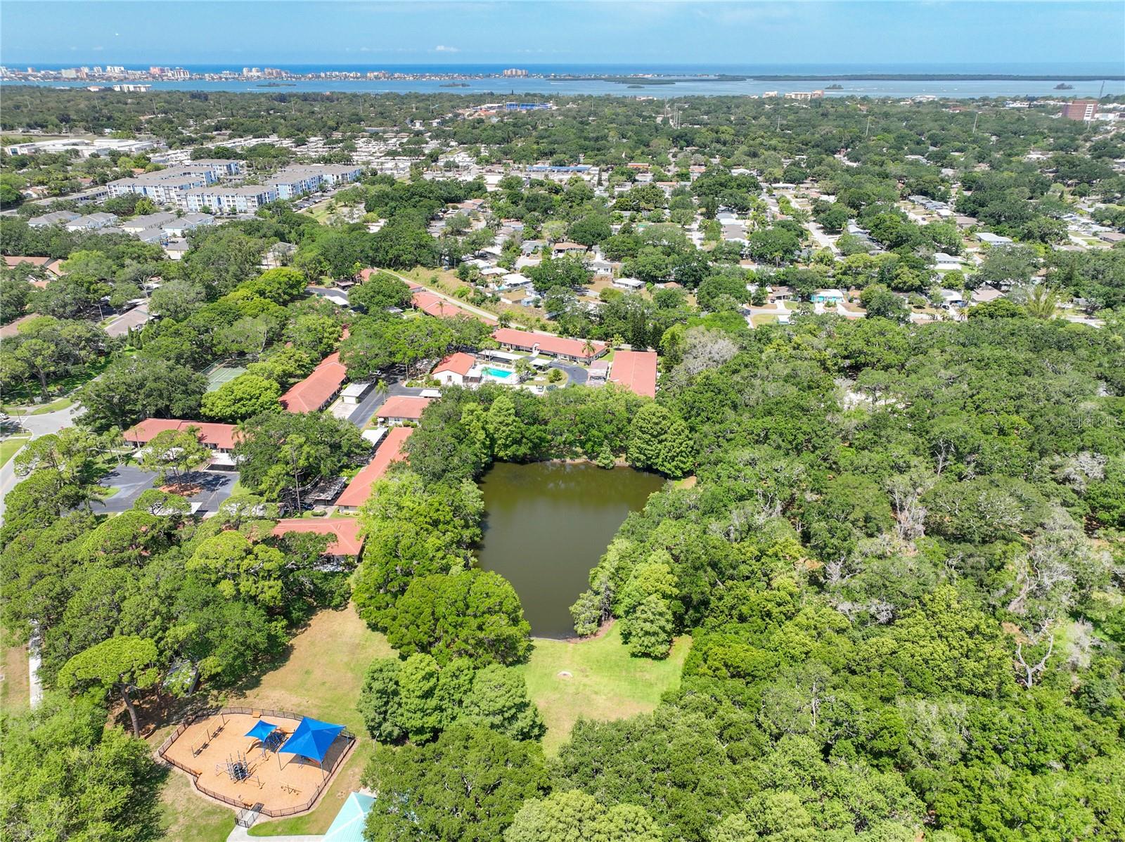 491 EXMOOR TER #1695, DUNEDIN, FL, 34698