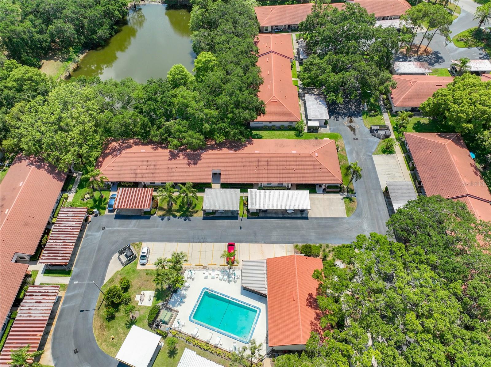 491 EXMOOR TER #1695, DUNEDIN, FL, 34698