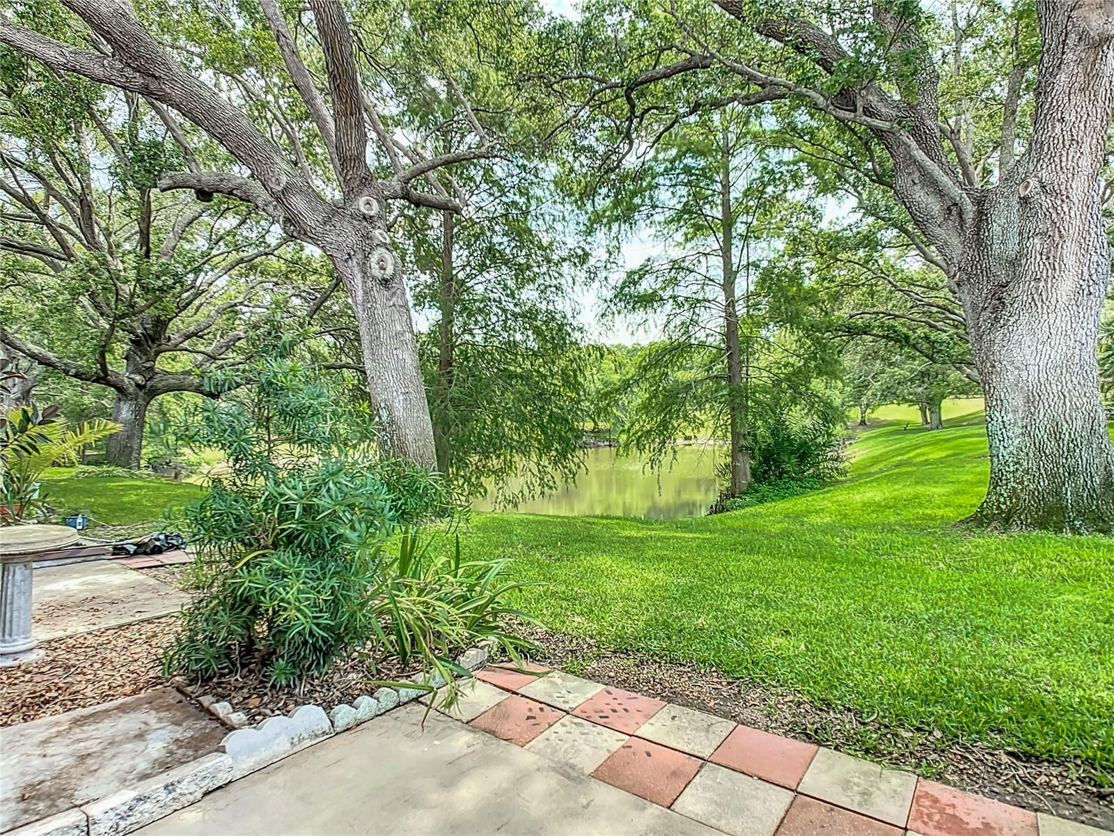 491 EXMOOR TER #1695, DUNEDIN, FL, 34698
