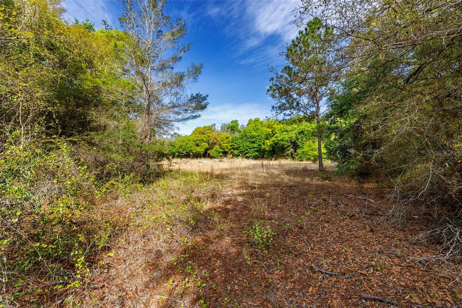 GRIFFIN VIEW DR, LADY LAKE, FL, 32159