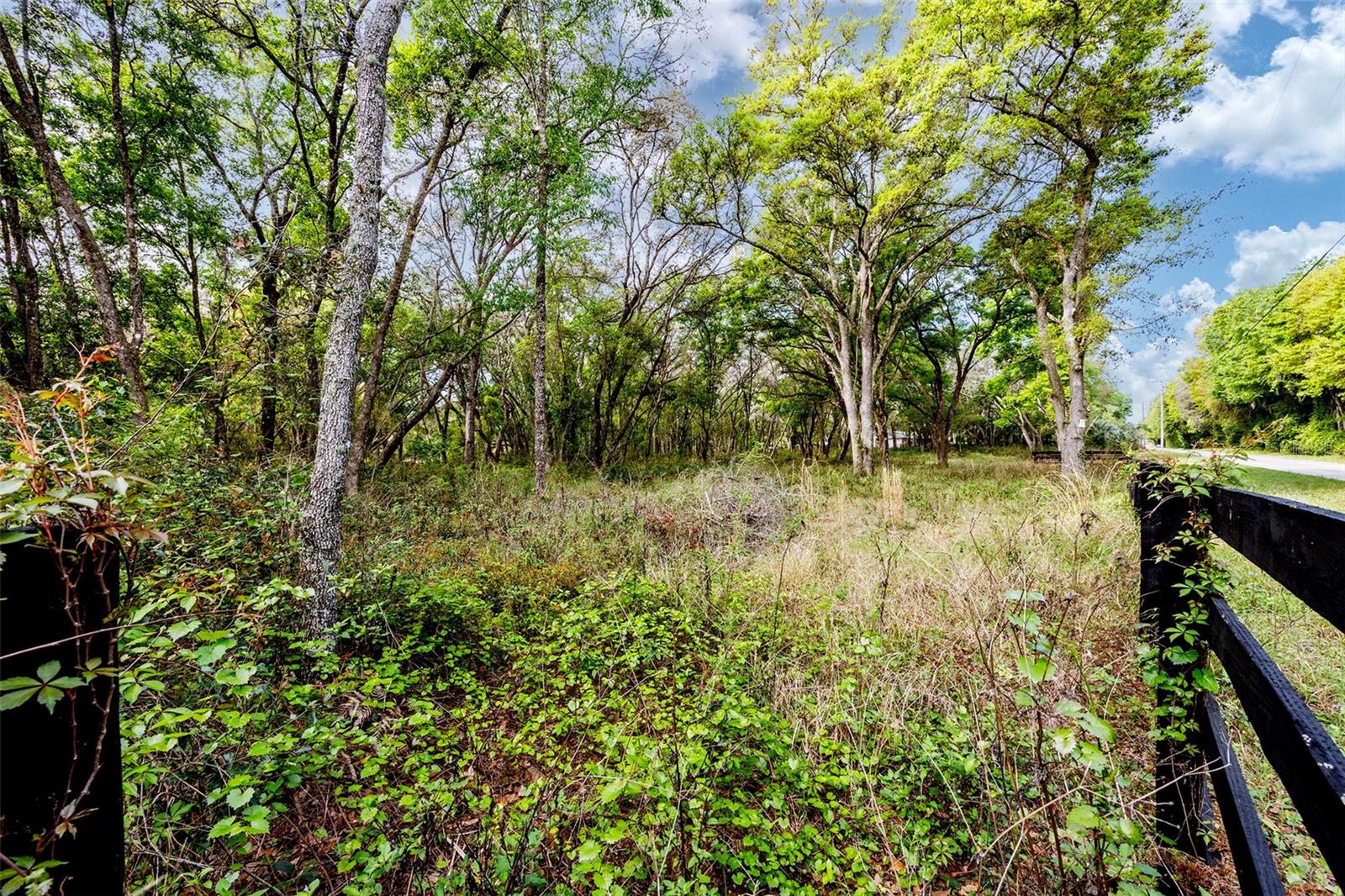 GRIFFIN VIEW DR, LADY LAKE, FL, 32159