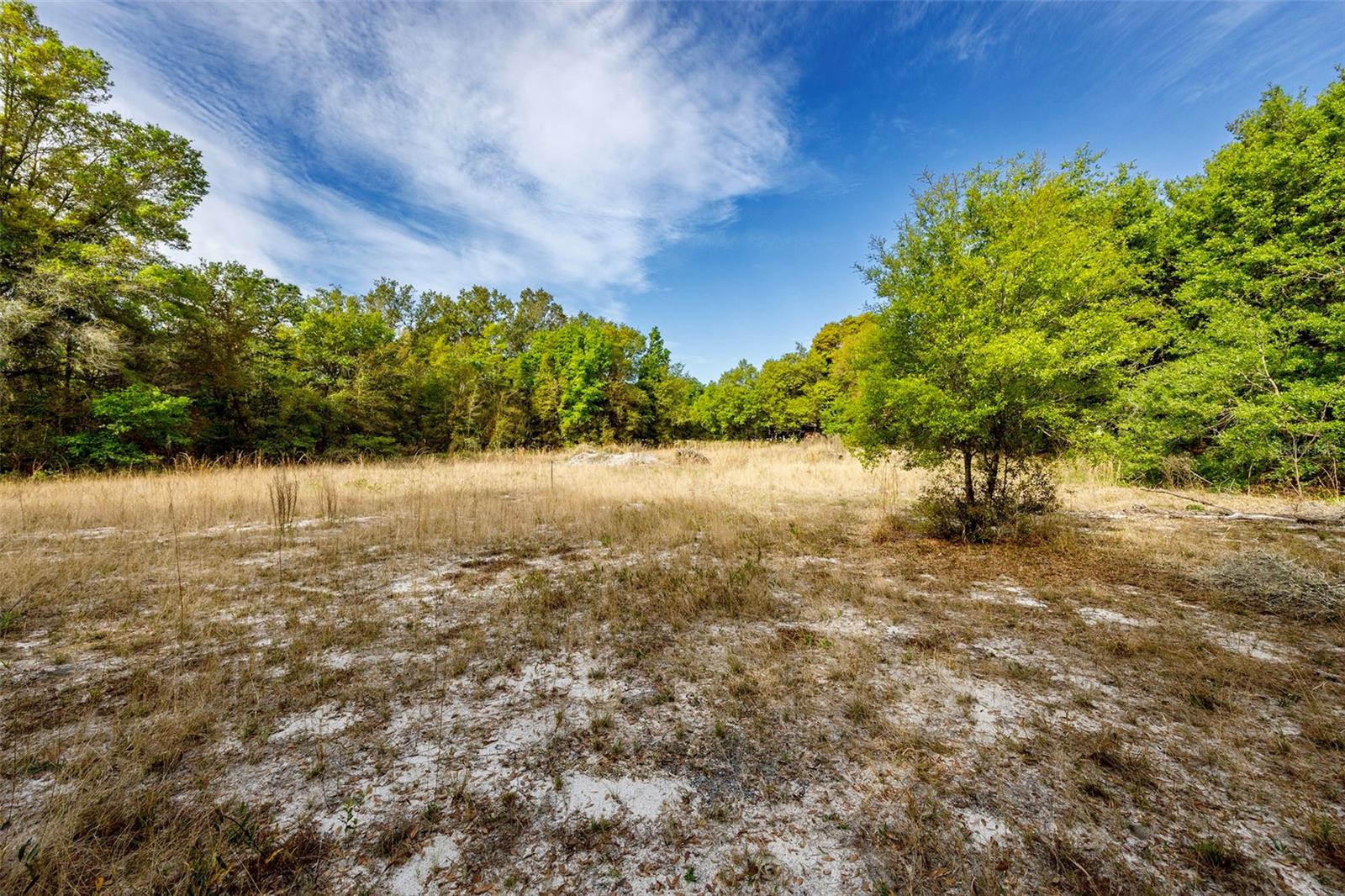 GRIFFIN VIEW DR, LADY LAKE, FL, 32159