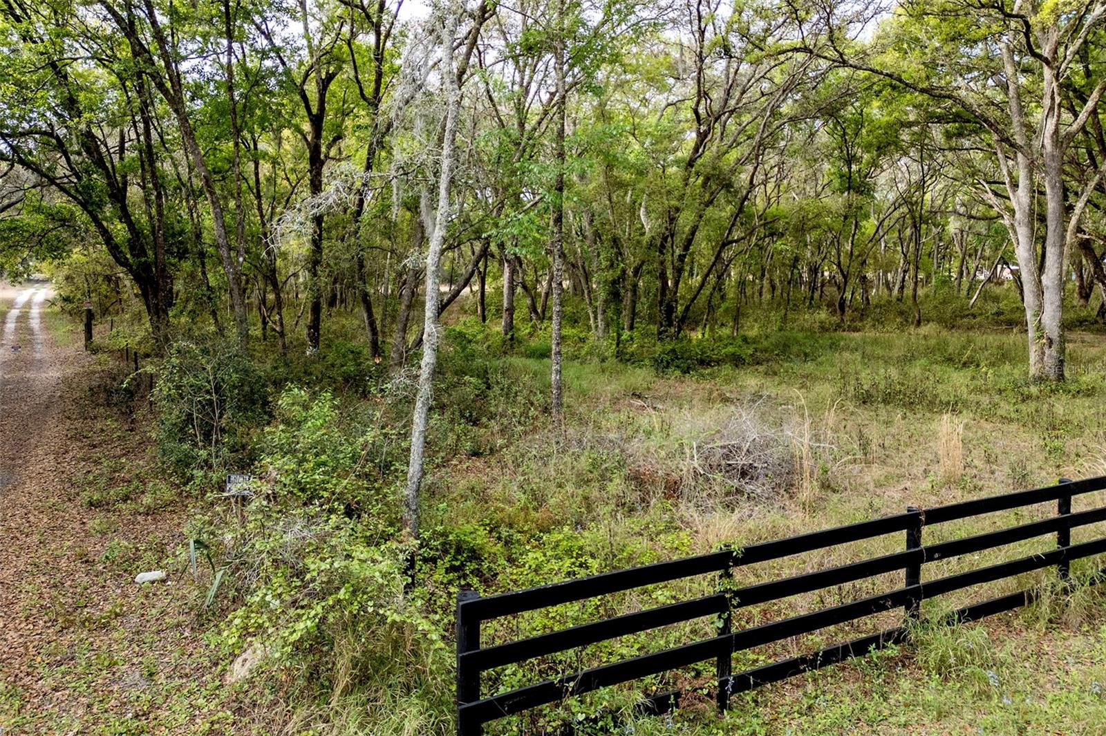 GRIFFIN VIEW DR, LADY LAKE, FL, 32159