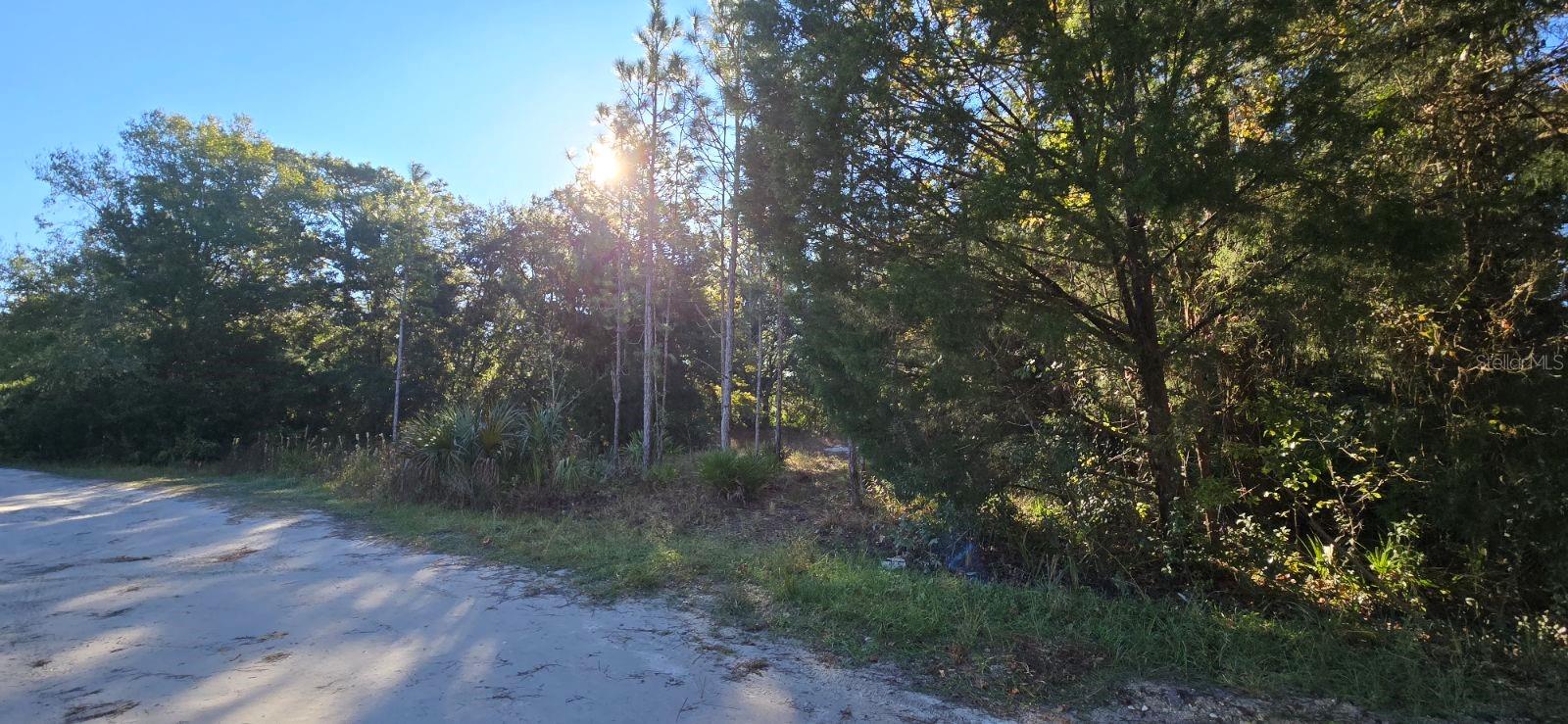 7784 W TWIN CANAL LN, HOMOSASSA, FL, 34448