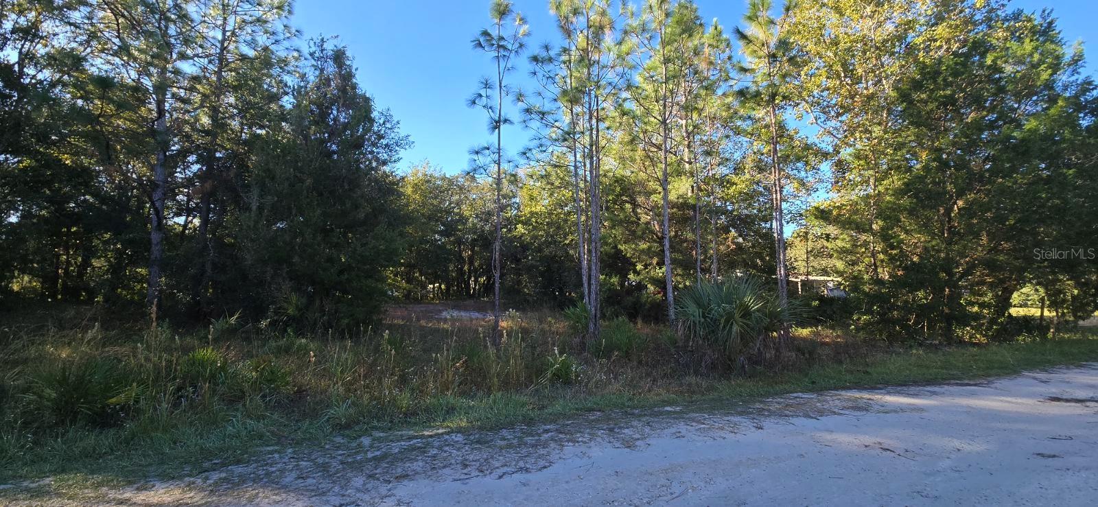 7784 W TWIN CANAL LN, HOMOSASSA, FL, 34448