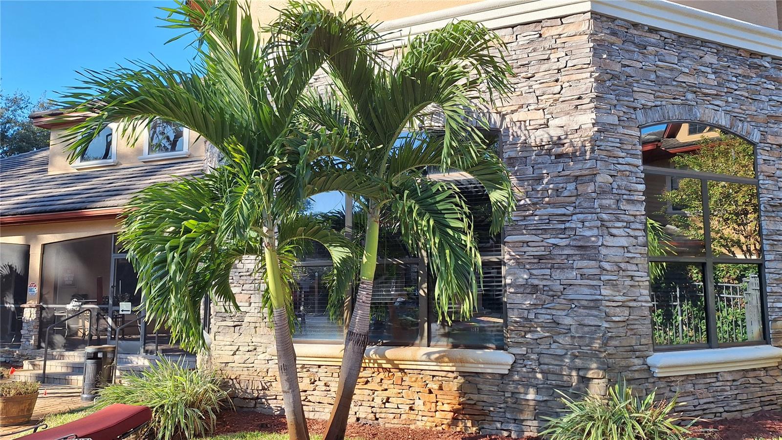 2249 PORTOFINO PL #2-2224, PALM HARBOR, FL, 34683