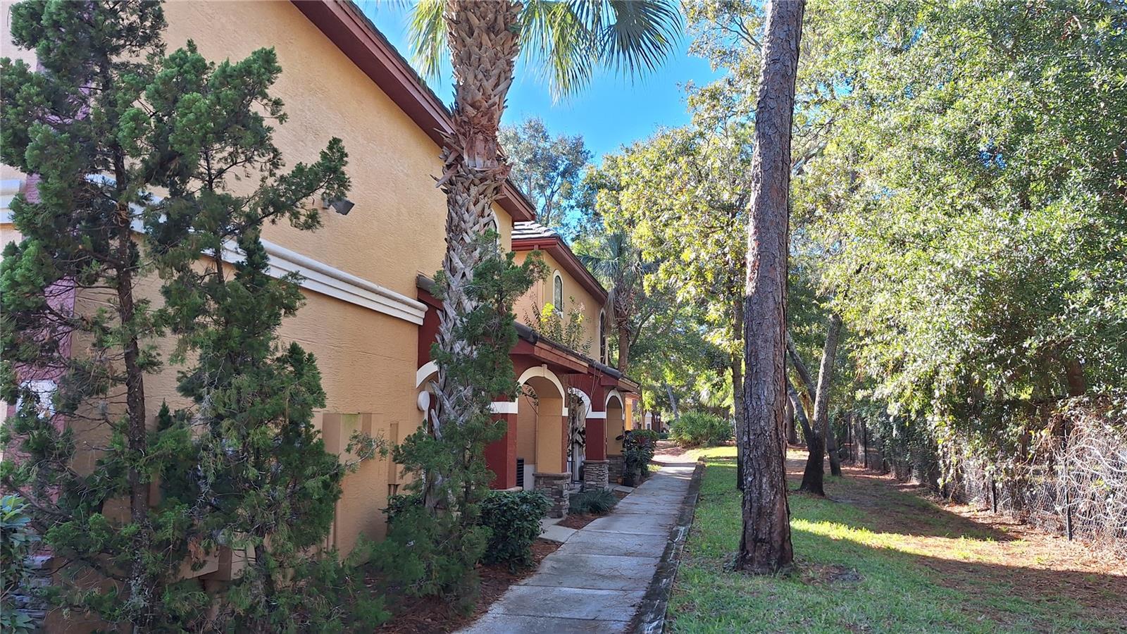 2249 PORTOFINO PL #2-2224, PALM HARBOR, FL, 34683