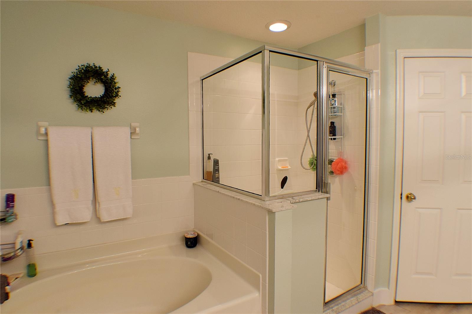 29505 FADE CT, SAN ANTONIO, FL, 33576