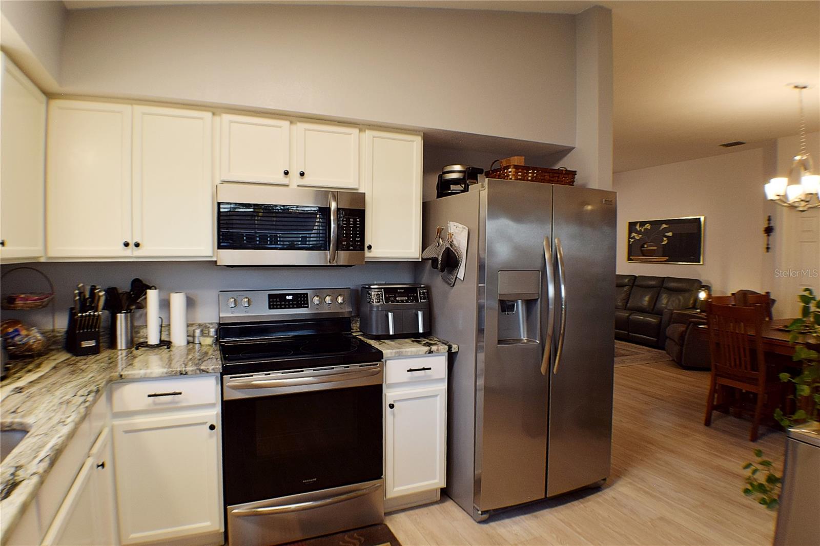 29505 FADE CT, SAN ANTONIO, FL, 33576