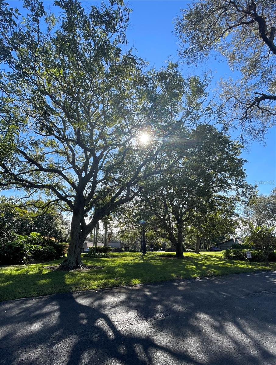 17 ROBYN LN, HAINES CITY, FL, 33844