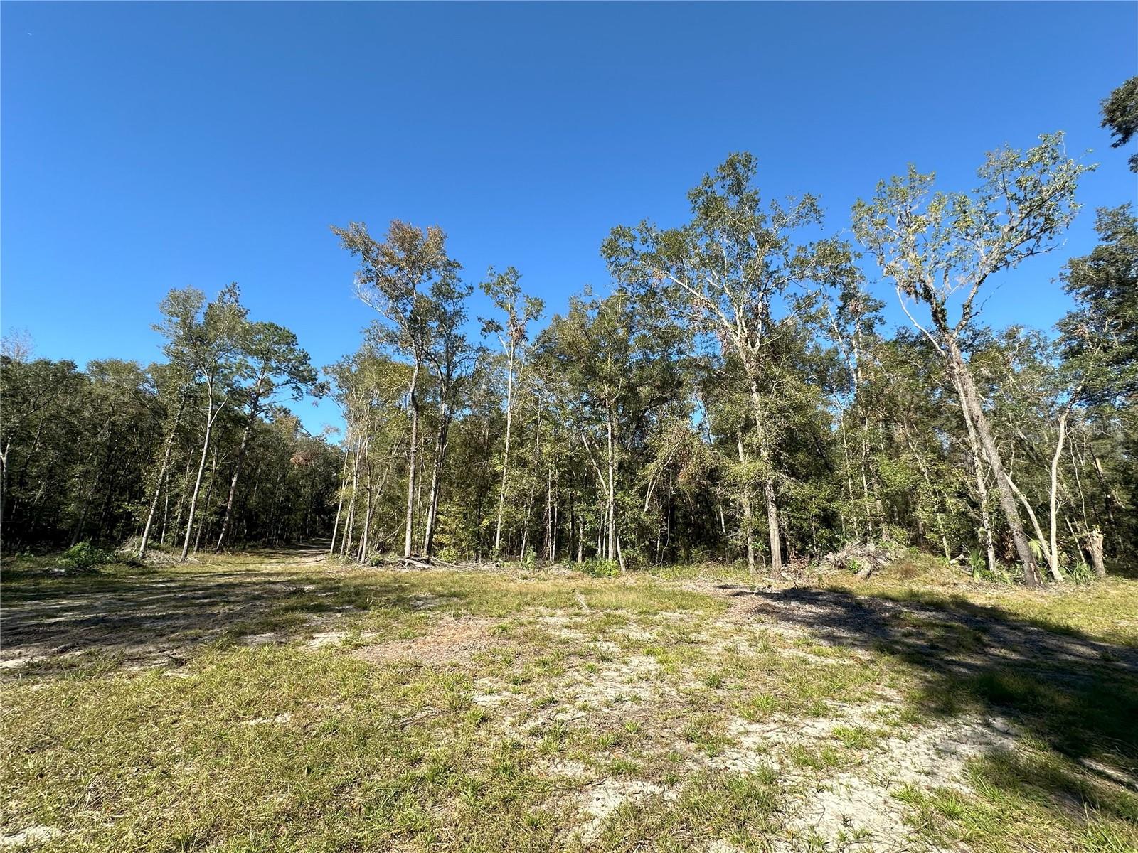55ac W HWY 318, REDDICK, FL, 32686