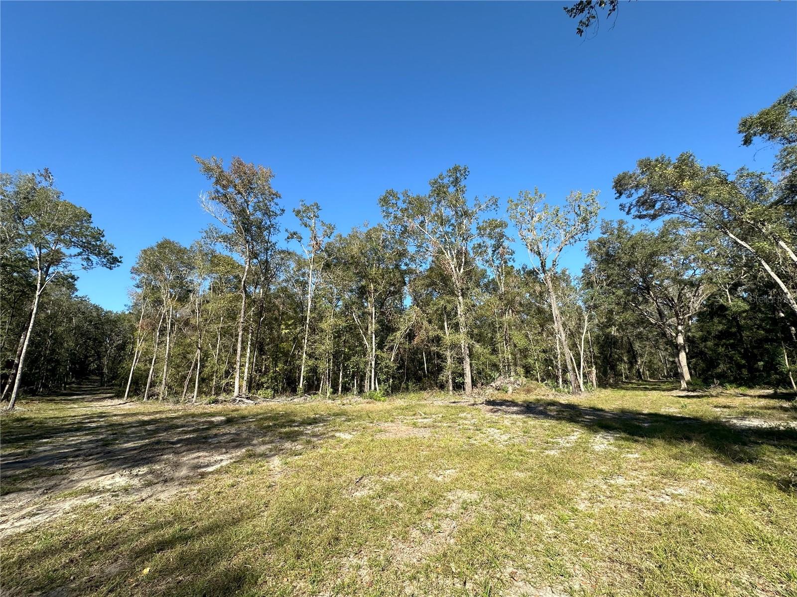 55ac W HWY 318, REDDICK, FL, 32686