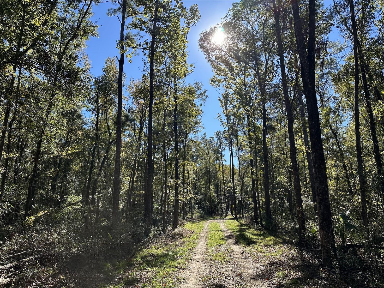 55ac W HWY 318, REDDICK, FL, 32686