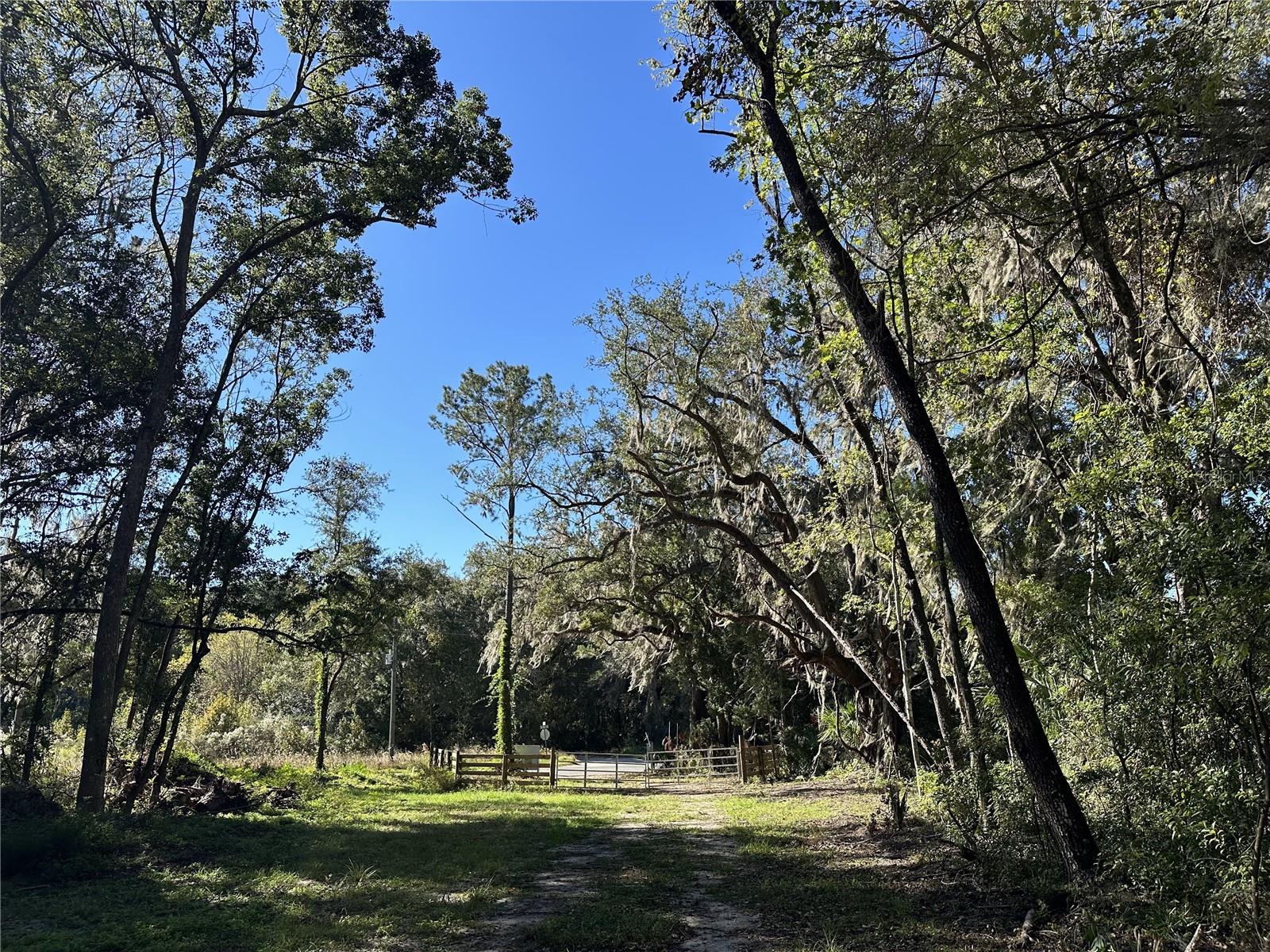 55ac W HWY 318, REDDICK, FL, 32686