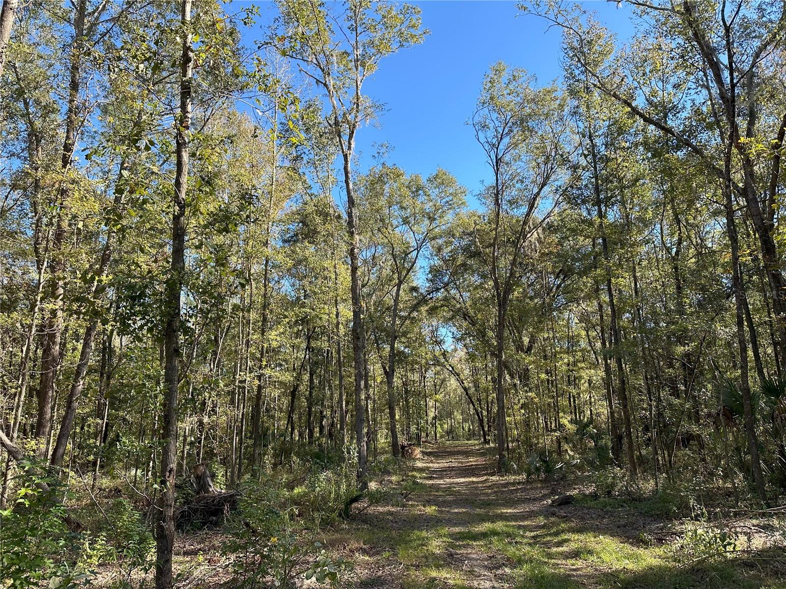 55ac W HWY 318, REDDICK, FL, 32686