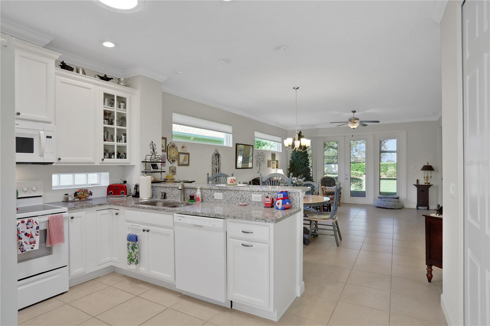 8099 BRIDGEPORT BAY CIR, MOUNT DORA, FL, 32757