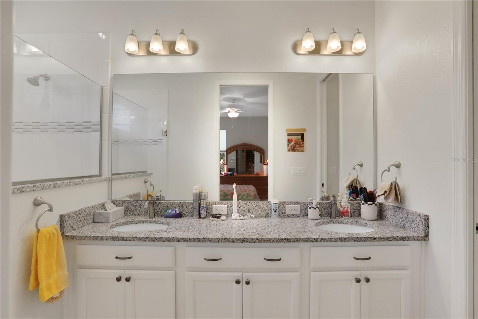 8099 BRIDGEPORT BAY CIR, MOUNT DORA, FL, 32757