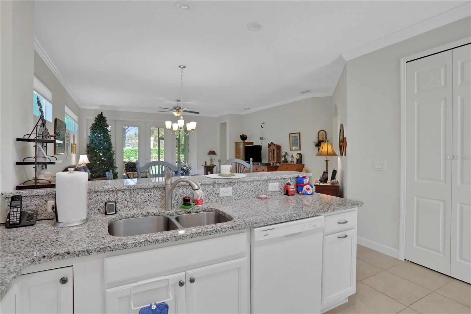 8099 BRIDGEPORT BAY CIR, MOUNT DORA, FL, 32757