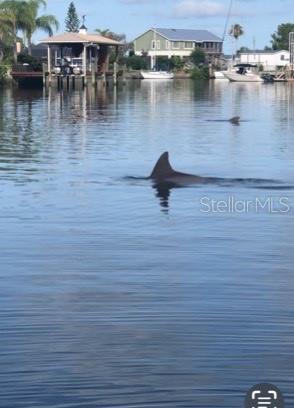 4523 GULFSTREAM DR, HERNANDO BEACH, FL, 34607