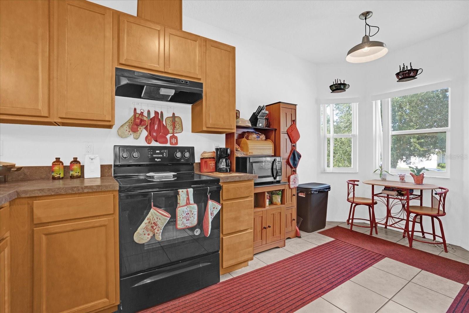 1130 TIMOR AVE, ORLANDO, FL, 32804